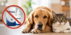 Cat and dog sitting safely away from a bathroom shelf with a hair-loss treatment bottle